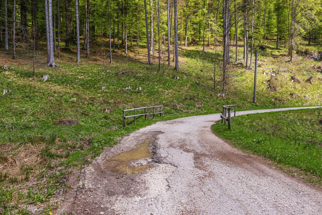 Błotnista wiejska droga z kałużami na przedwiośniu